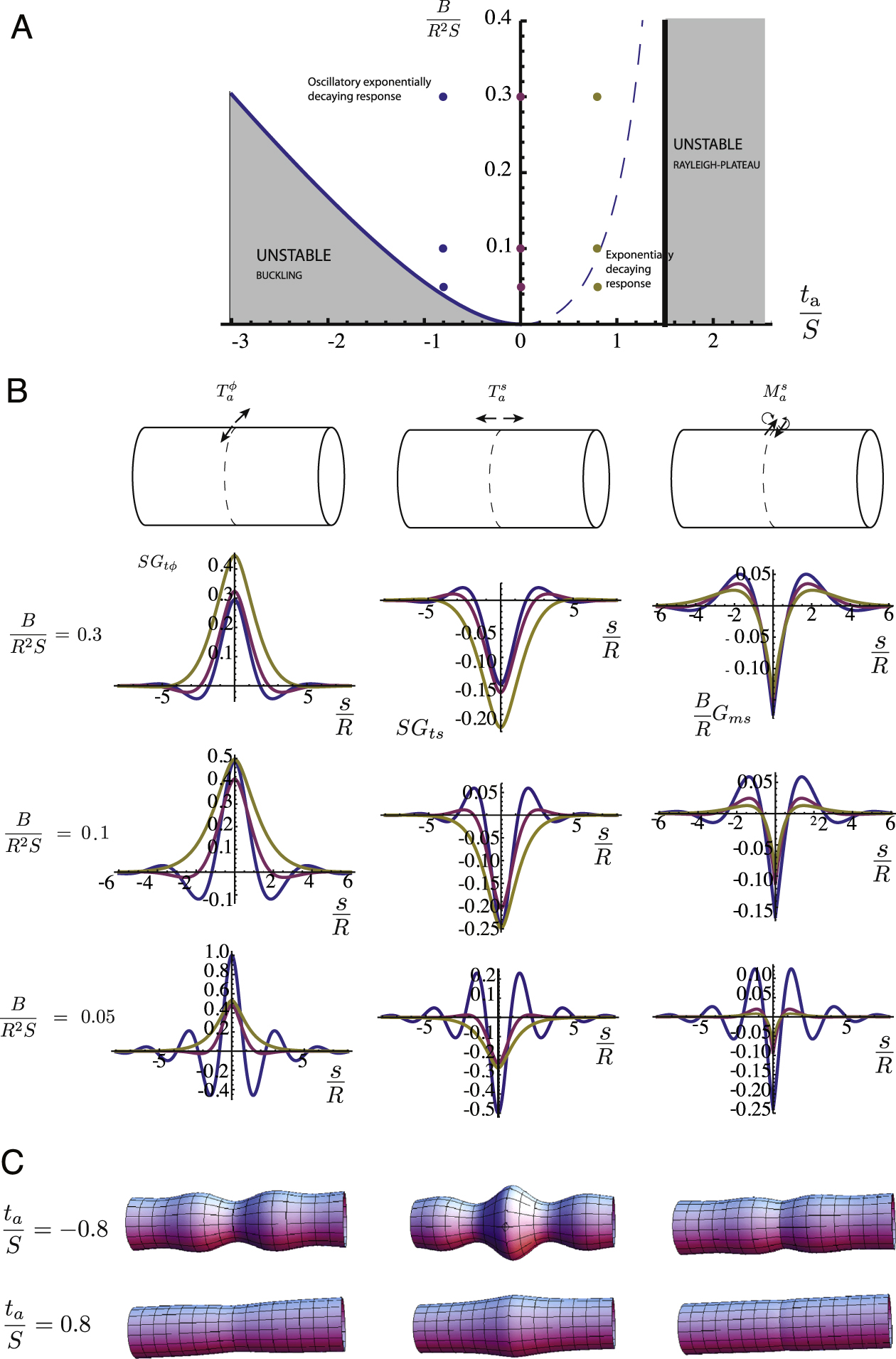 Active elastic thin shell theory for cellular deformations - IOPscience