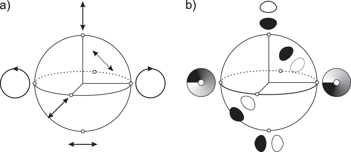 Classical entanglement in polarization metrology - IOPscience