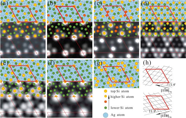 オーダー専用ページ Various atomic structures of monolayer silicene fabricated
