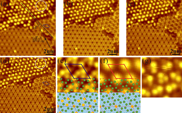 オーダー専用ページ Various atomic structures of monolayer silicene fabricated