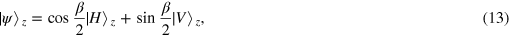 Equation (13)
