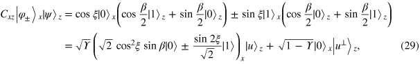 Equation (29)