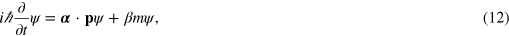 Equation (12)