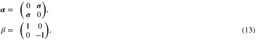 Equation (13)