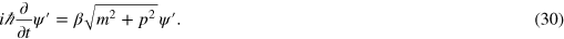 Equation (30)