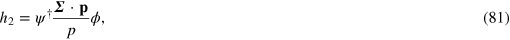 Equation (81)