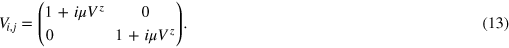 Equation (13)