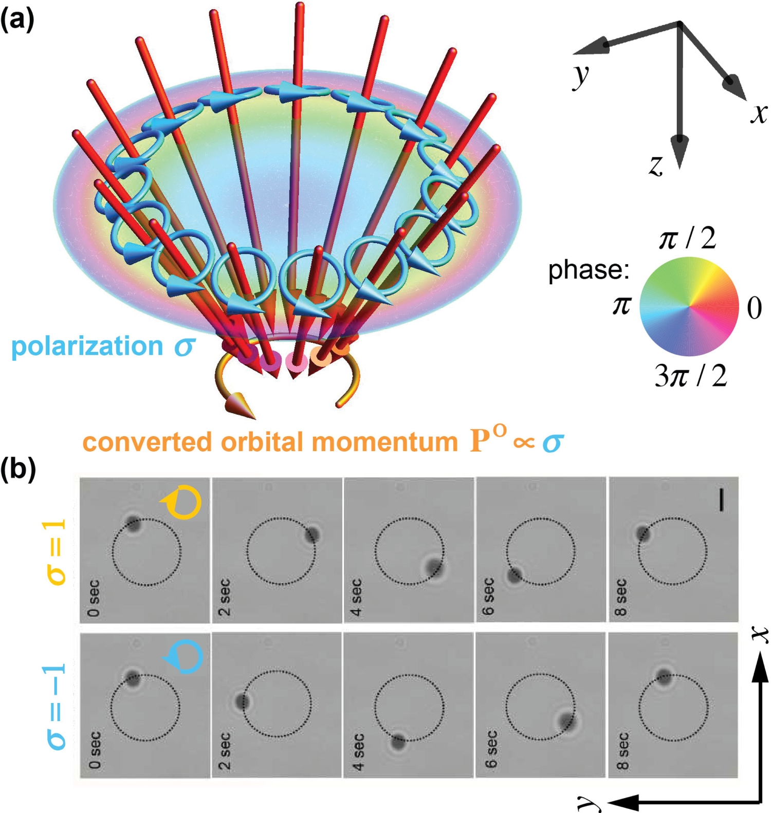 Conservation of the spin and orbital angular momenta in ...
