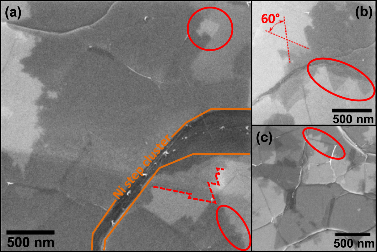Molecular beam epitaxy of graphene on ultra-smooth nickel: growth mode ...
