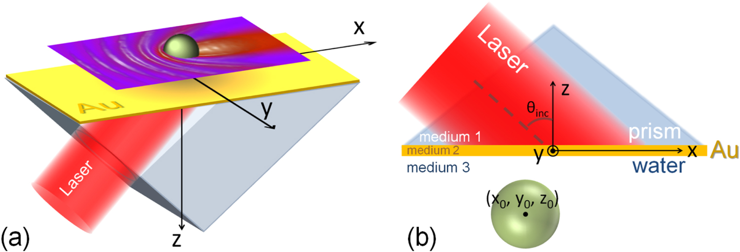 Principles of nanoparticle imaging using surface plasmons - IOPscience