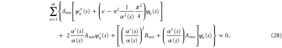 Equation (28)
