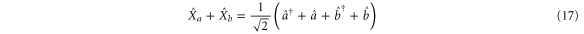 Equation (17)