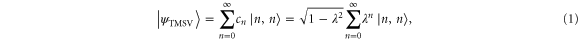 Equation (1)