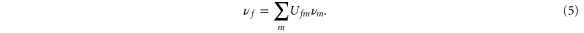 Equation (5)