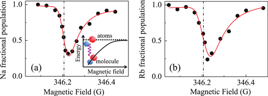 Figure 4. Refer to the following caption and surrounding text.