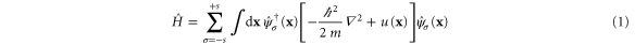 Equation (1)