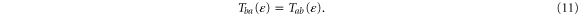 Equation (11)