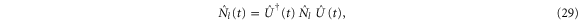 Equation (29)