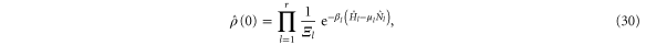 Equation (30)