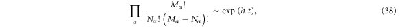 Equation (38)