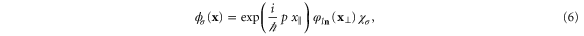 Equation (6)