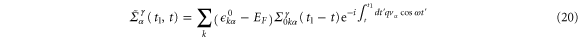 Equation (20)