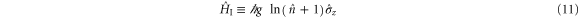 Equation (11)