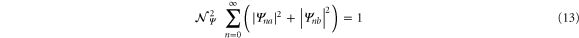 Equation (13)