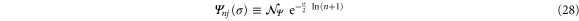 Equation (28)