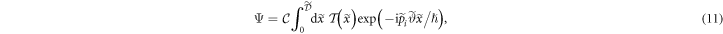 Equation (11)