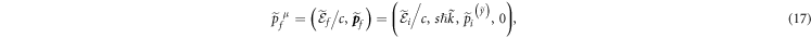 Equation (17)