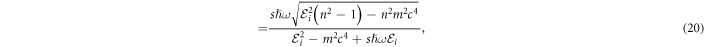 Equation (20)