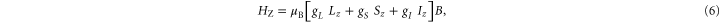 Equation (6)