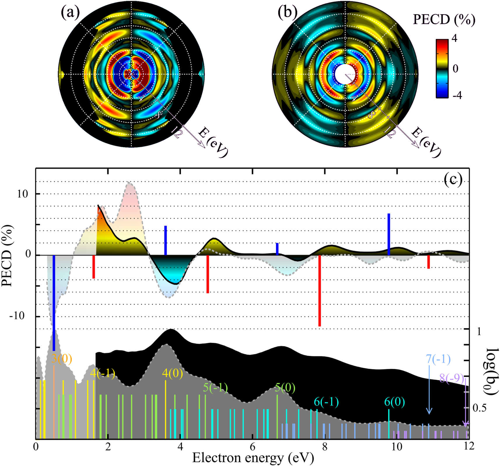 Universality of photoelectron circular dichroism in the photoionization ...