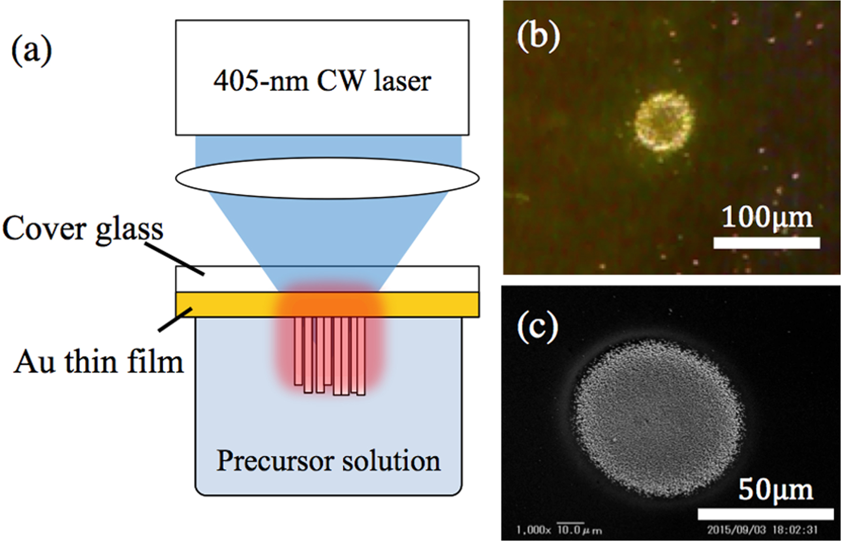 ZnO nanorod array random lasers fabricated by a laser-induced ...