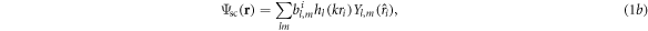 Equation (1b)