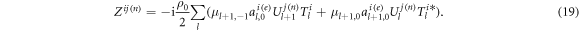 Equation (19)