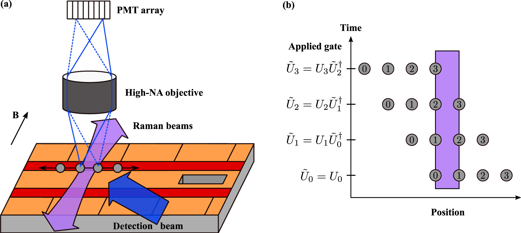 ソリューションとトータルソリューション Universal control of ion qubits in a scalable