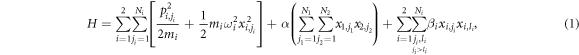 Equation (1)