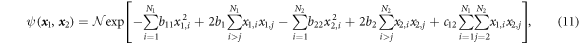 Equation (11)