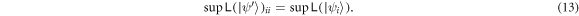 Equation (13)