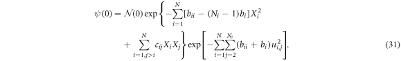 Equation (31)