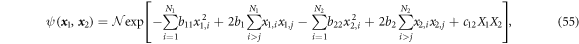 Equation (55)
