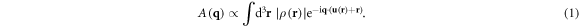 Equation (1)