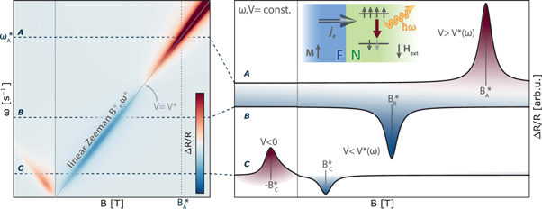 Figure 1. Refer to the following caption and surrounding text.