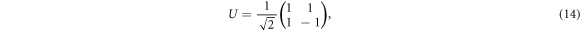 Equation (14)
