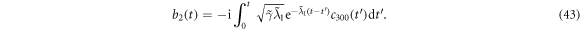 Equation (43)