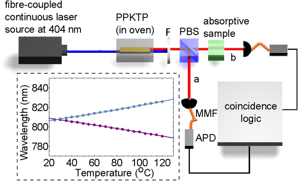 Absorption spectroscopy at the ultimate quantum limit from single ...