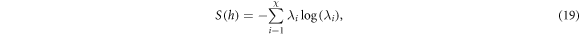 Equation (19)