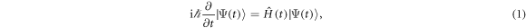 Equation (1)